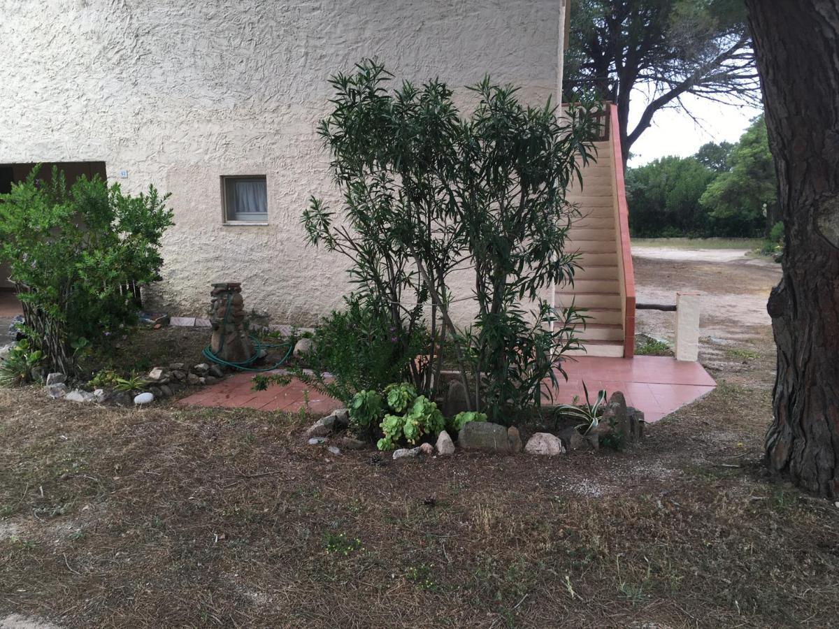 Monolocale A Rena Majore Di Gallura ภายนอก รูปภาพ
